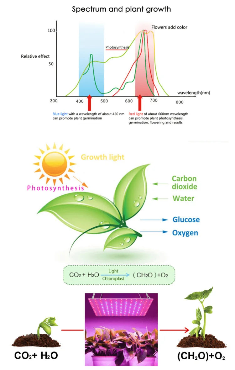 Lámpara LED de Cultivo para Plantas Espectro Completo