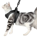 Arnés Anti-Escape para Gatos con Correa | Chaleco Ajustable