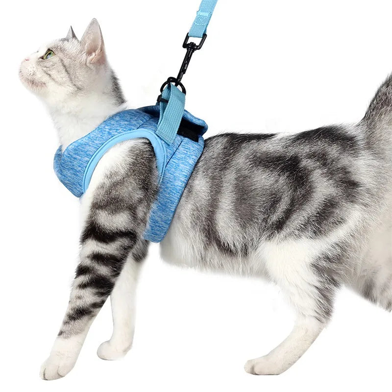 Arnés Anti-Escape para Gatos con Correa | Chaleco Ajustable