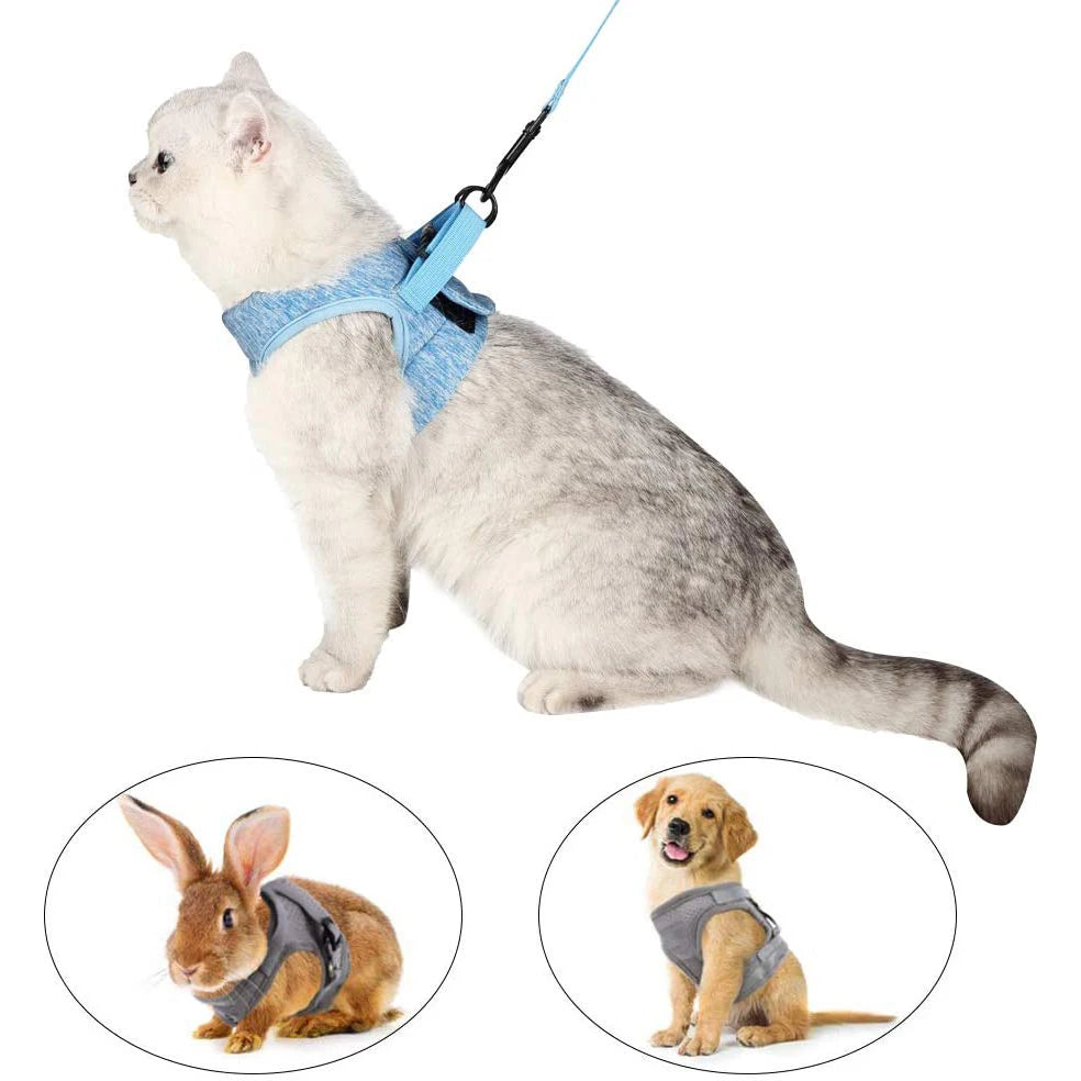 Arnés Anti-Escape para Gatos con Correa | Chaleco Ajustable
