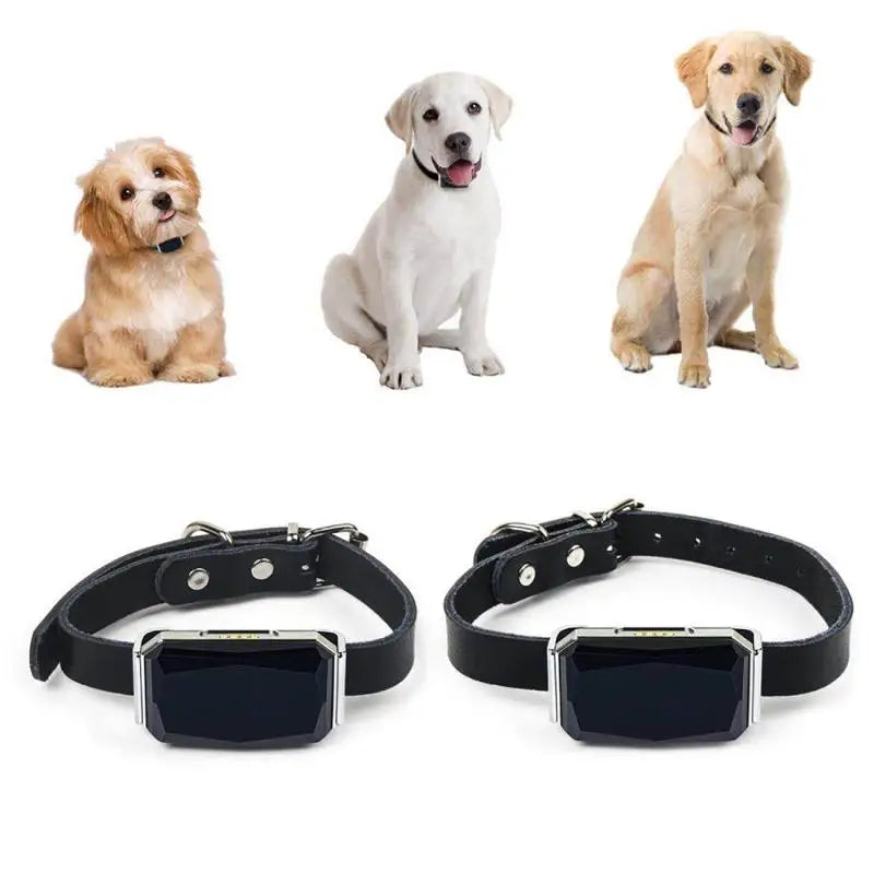 Collar impermeable IP67 para mascotas, rastreador GPS con luz Wifi para mascotas, perros, localizador Personal para niños, dispositivo de seguimiento antipérdida