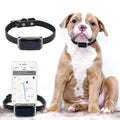 Collar impermeable IP67 para mascotas, rastreador GPS con luz Wifi para mascotas, perros, localizador Personal para niños, dispositivo de seguimiento antipérdida