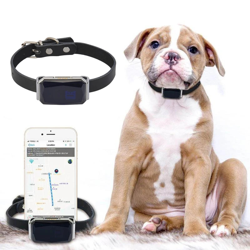 Collar impermeable IP67 para mascotas, rastreador GPS con luz Wifi para mascotas, perros, localizador Personal para niños, dispositivo de seguimiento antipérdida