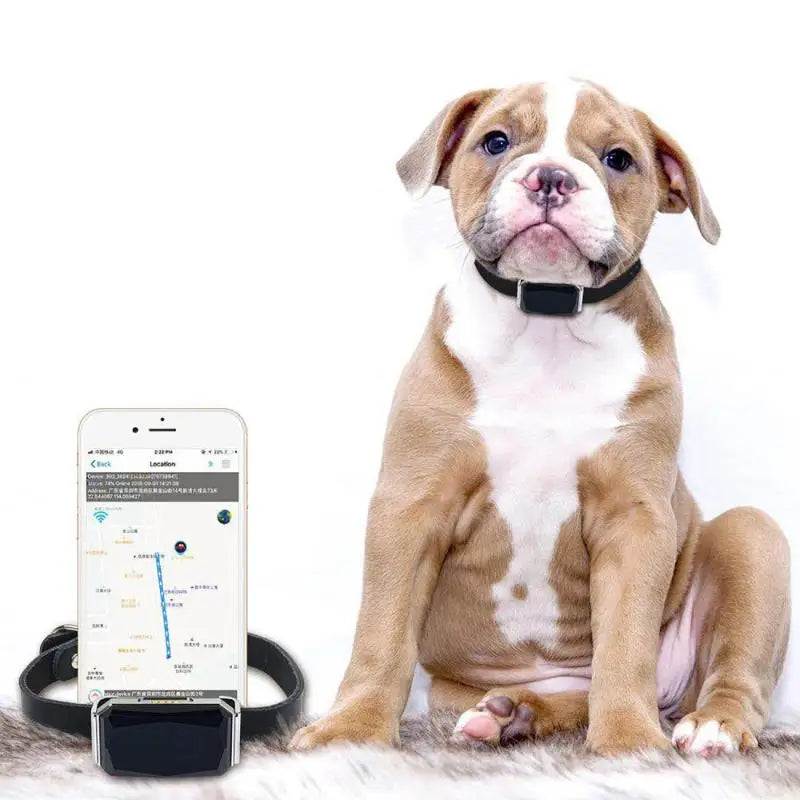 Collar impermeable IP67 para mascotas, rastreador GPS con luz Wifi para mascotas, perros, localizador Personal para niños, dispositivo de seguimiento antipérdida