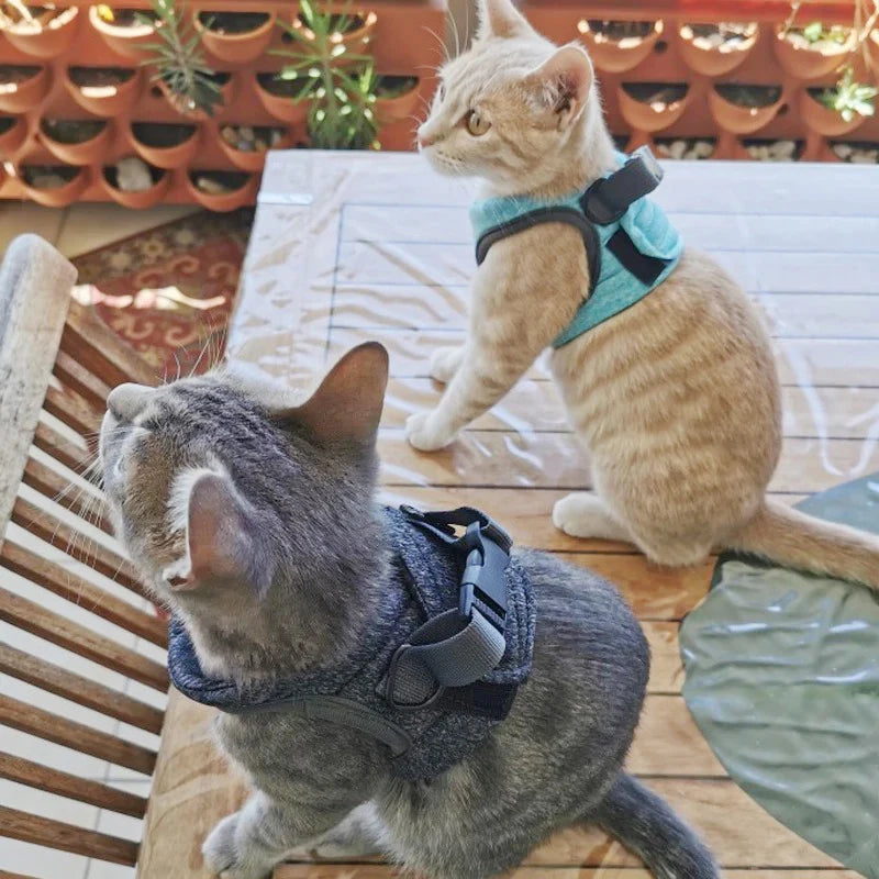Arnés Anti-Escape para Gatos con Correa | Chaleco Ajustable