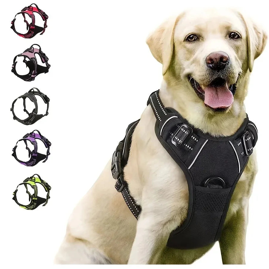 Arnés Chaleco para Perros con Correa | Tallas S a XL