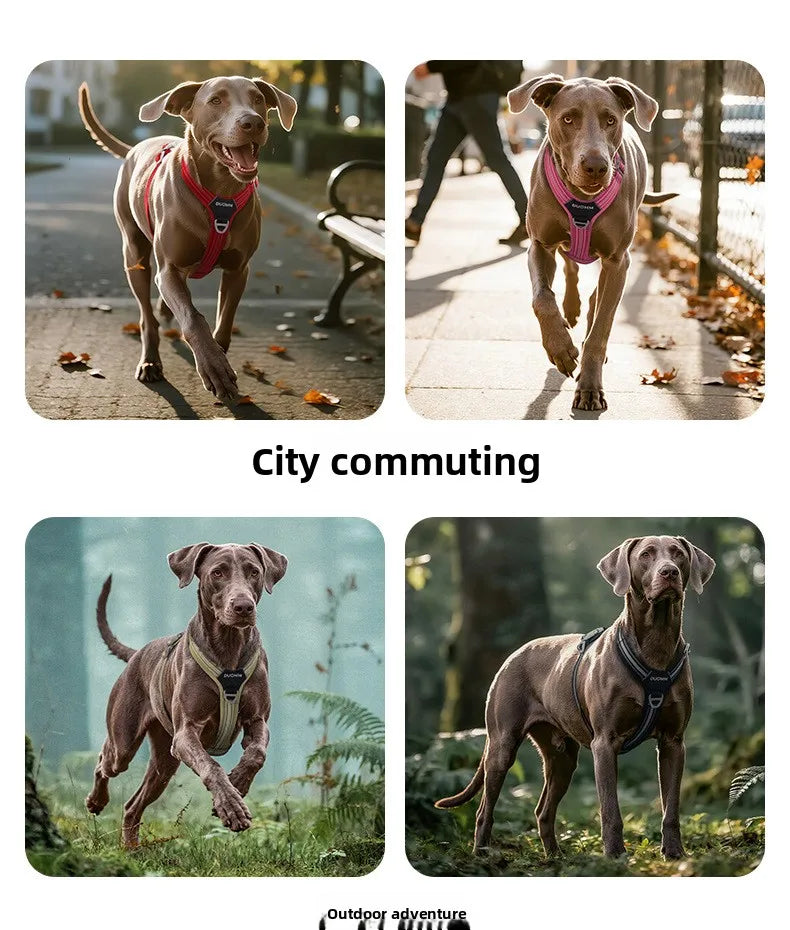 Arnés Antitirones para Perro con Chaleco Reflectante Ajustable