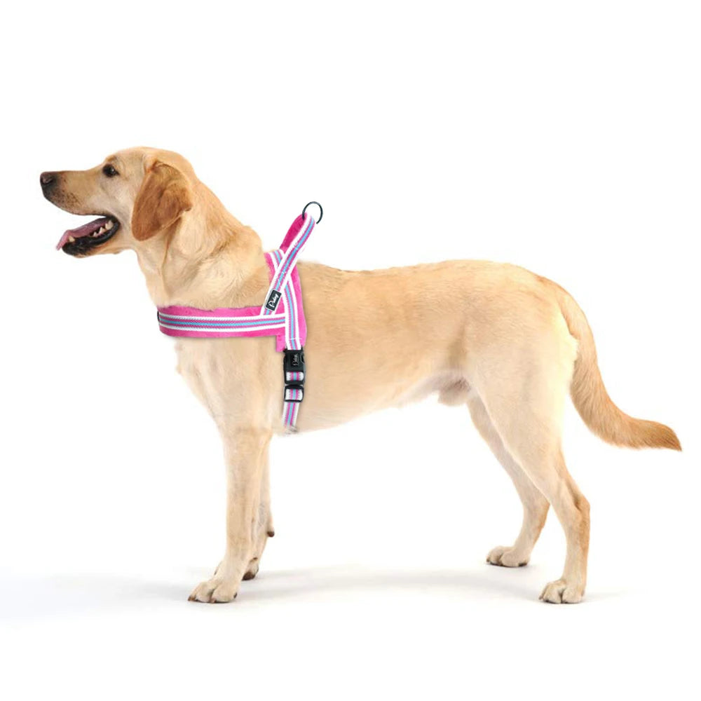 Chaleco Arnés Térmico para Perros – Acolchado y Ajustable