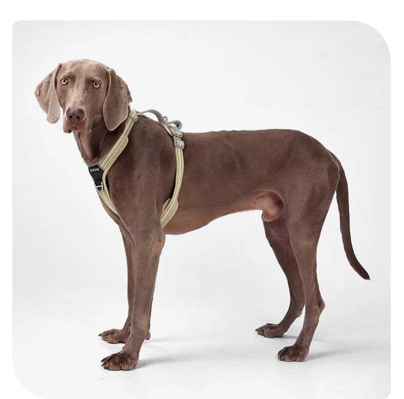 Arnés Antitirones para Perro con Chaleco Reflectante Ajustable