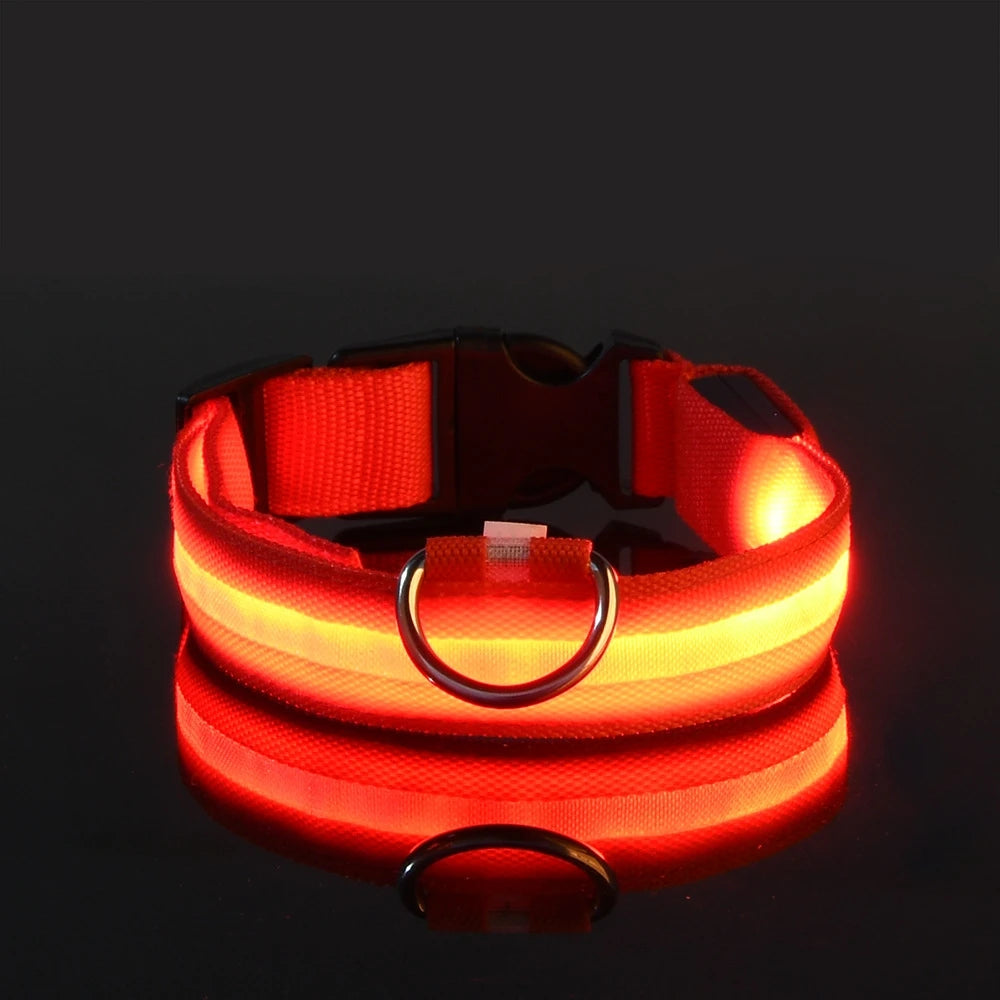 Correa LED para Perros con Luz Nocturna — Nailon Resistente