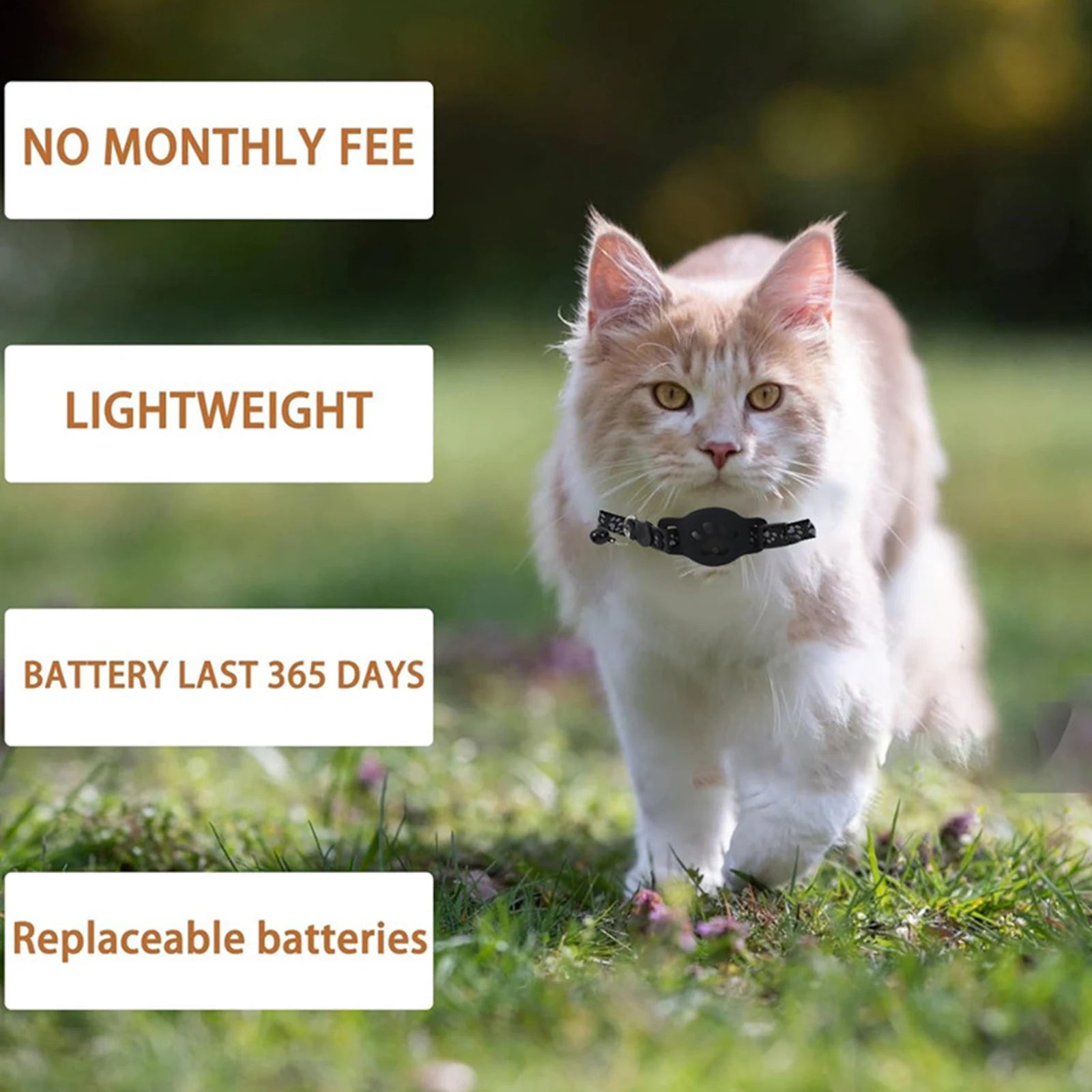 Collar Rastreador GPS para Mascotas Impermeable con App iOS y Android