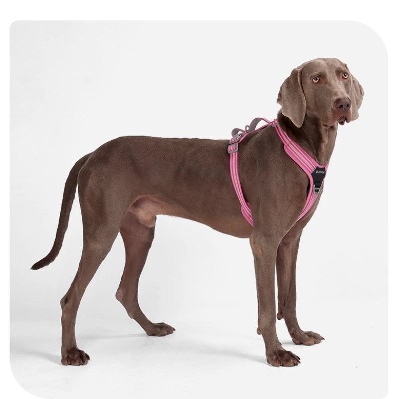 Arnés Antitirones para Perro con Chaleco Reflectante Ajustable