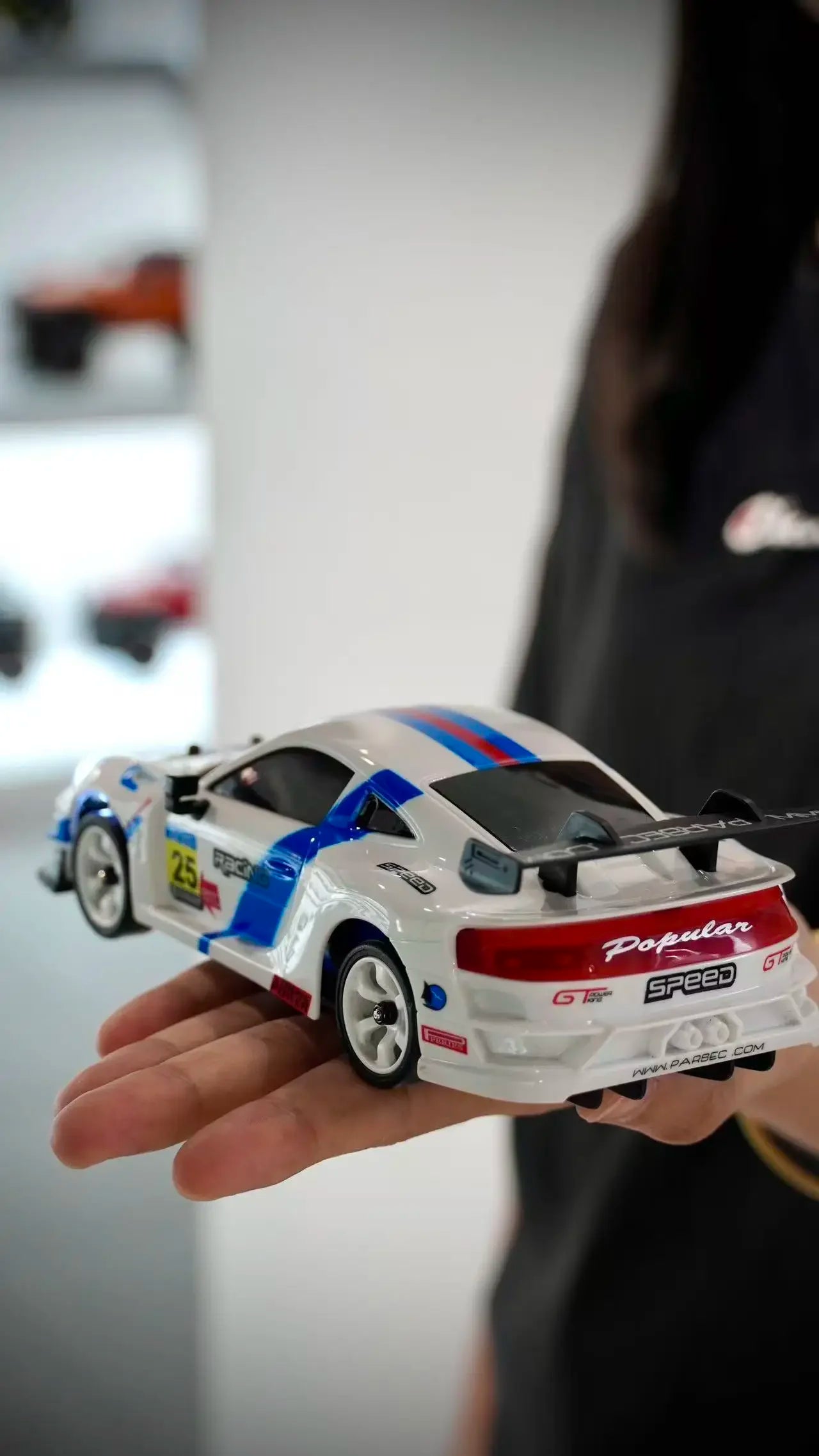 Wltoys RC 284019 Control remoto 1/28 30 Km/H Mosquito de carreras de alta velocidad 2,4 GHz todoterreno RTR Rally Drift Car