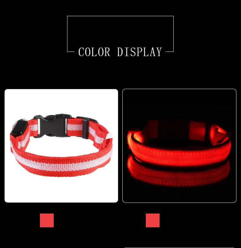 Correa LED para Perros con Luz Nocturna — Nailon Resistente