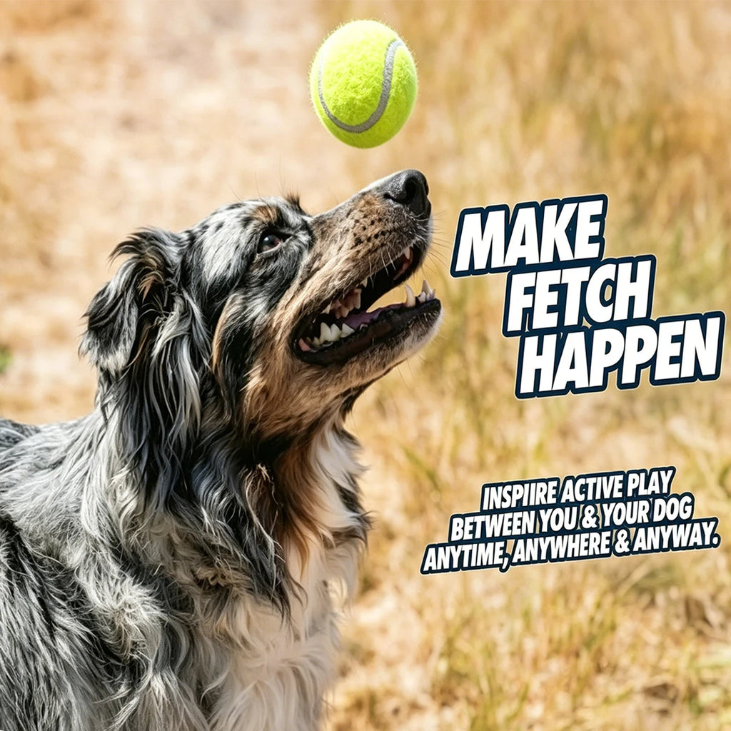 Lanzador de Pelotas Portátil para Perros, Juguete Interactivo para Lanzar Pelotas de Tenis, para Entrenamiento de Cachorros al Aire Libre, Venta al Por Mayor