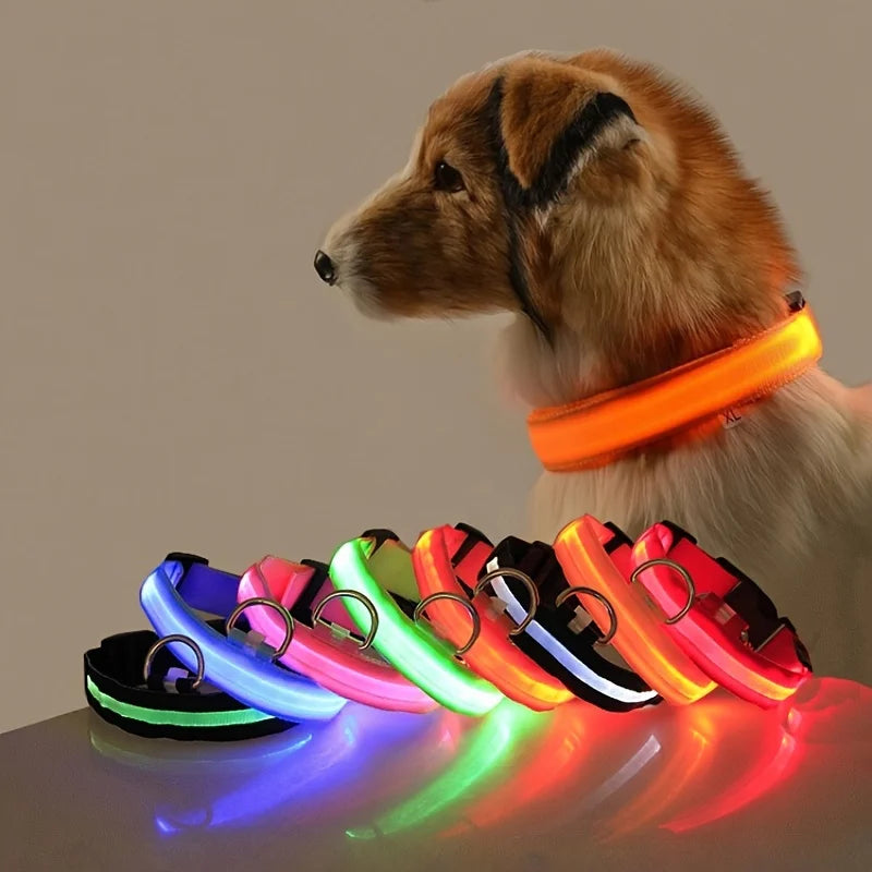 Correa LED para Perros con Luz Nocturna — Nailon Resistente