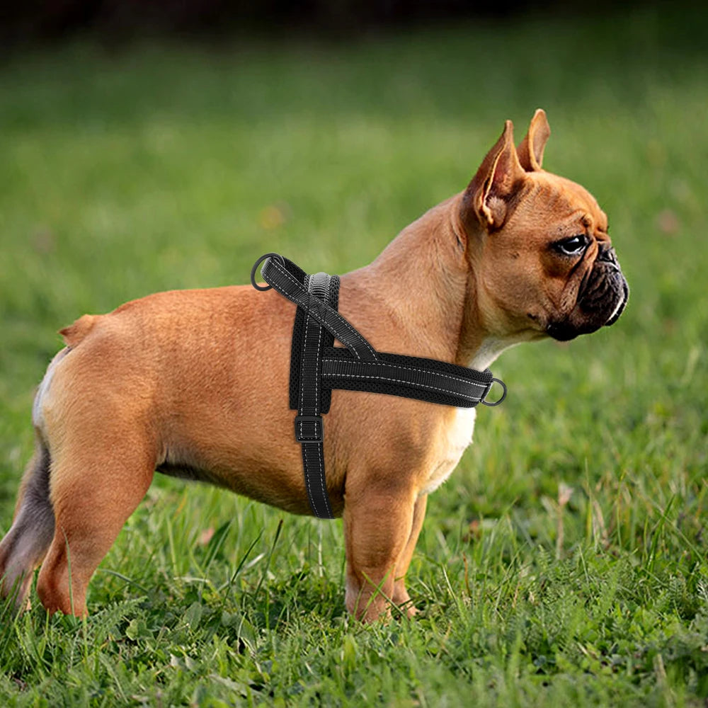 Chaleco Arnés Térmico para Perros – Acolchado y Ajustable