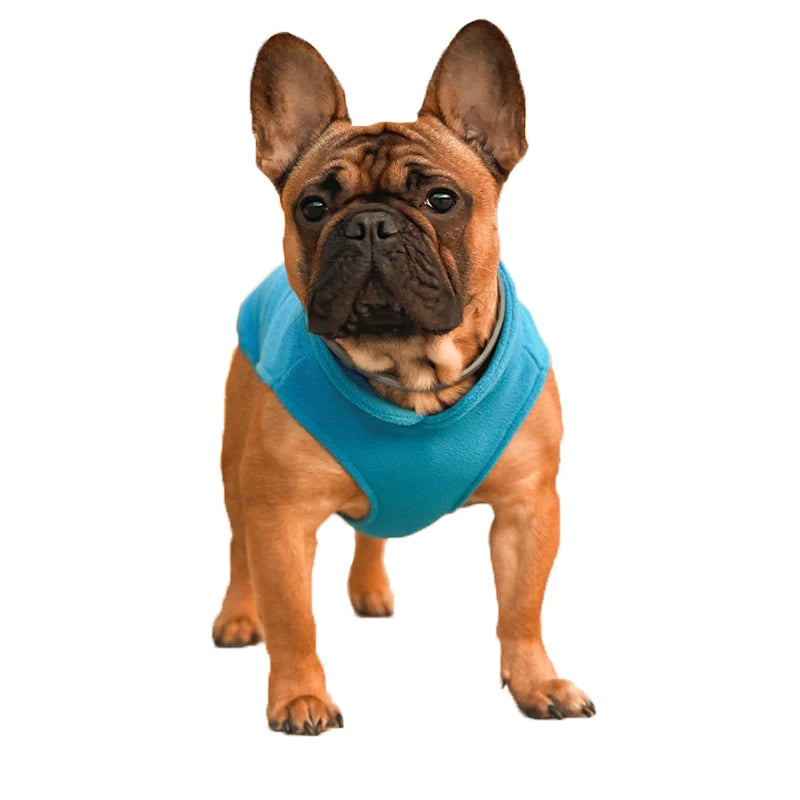 Chaleco de Lana para Perros y Gatos - Abrigo Cálido con Anillo en D