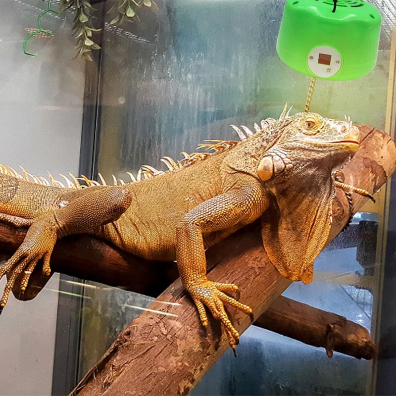 Lámpara Calefactora 220V con Control de Temperatura para Mascotas