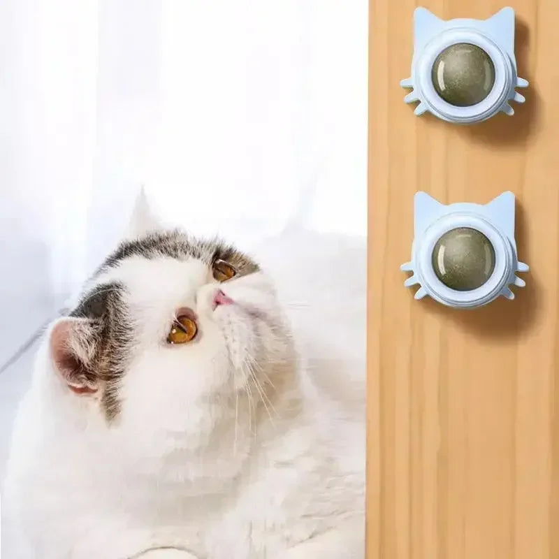 Juguetes de hierba gatera para gatos, bola giratoria interactiva de pared para interiores, menta Natural, mejora la digestión, estimulante del apetito, cuidado Dental para gatos