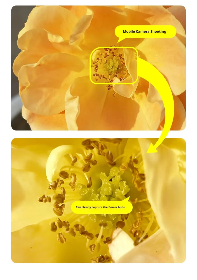 Filtro CPL Kase con Clip para Smartphone y Lente Macro Pro