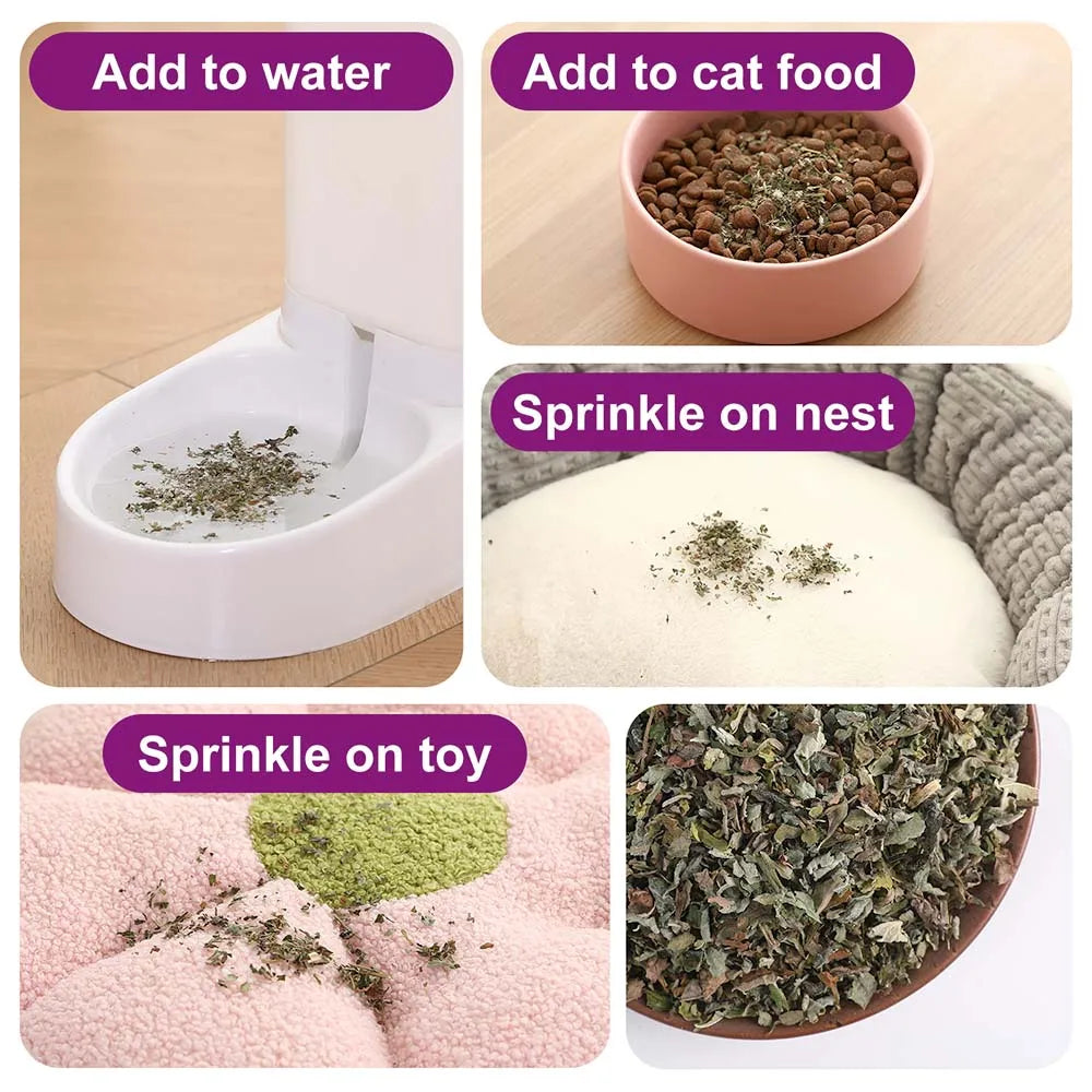 100% hierba gatera Natural y hierba gatera pura para su amigo peludo, juguete divertido para gatos, nuevo juguete interactivo para gatos, suministros para mascotas
