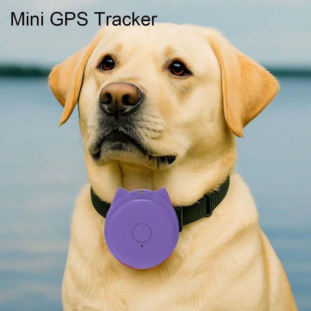 Rastreador Bluetooth Mini Antipérdida para Mascotas y Llaves