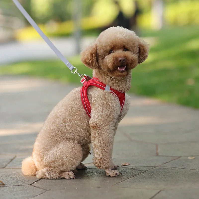 Arnés Chaleco Ajustable para Perros y Gatos con Correa Reflectante