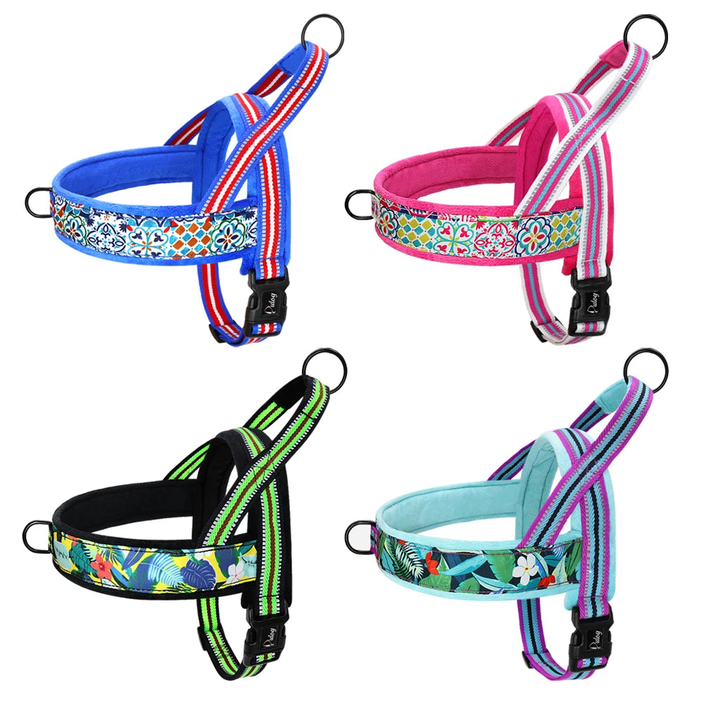 Chaleco Arnés Térmico para Perros – Acolchado y Ajustable