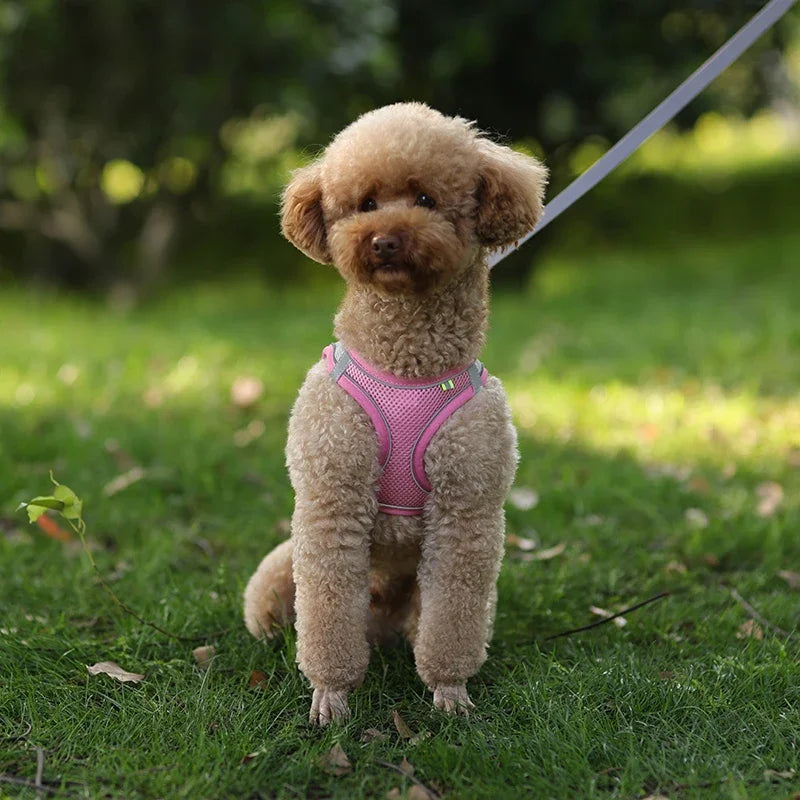 Arnés Chaleco Ajustable para Perros y Gatos con Correa Reflectante