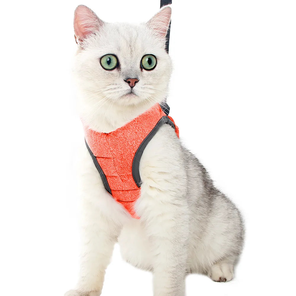 Arnés Anti-Escape para Gatos con Correa | Chaleco Ajustable
