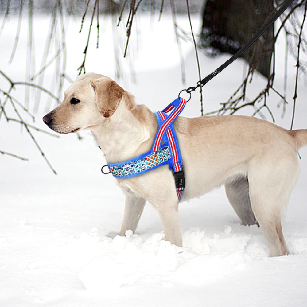 Chaleco Arnés Térmico para Perros – Acolchado y Ajustable