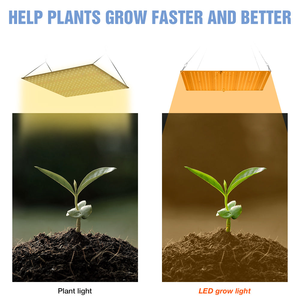 Lámpara LED de Cultivo Phyto para Plantas 3500W