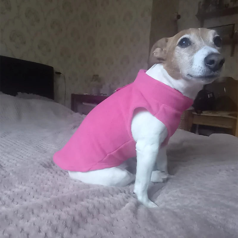 Chaleco de Lana para Perros y Gatos - Abrigo Cálido con Anillo en D