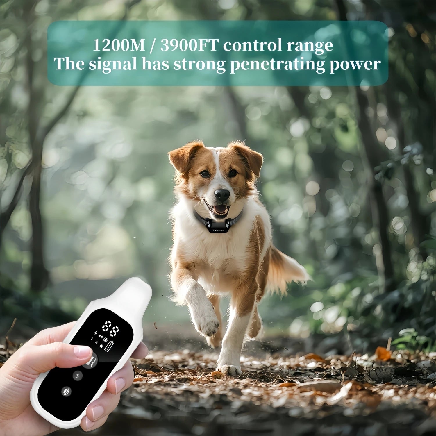 Collar de entrenamiento Digital para perros de 800m, resistente al agua, recargable, Control remoto, mascota con pantalla LCD para todos los tamaños, sonido de vibración de choque