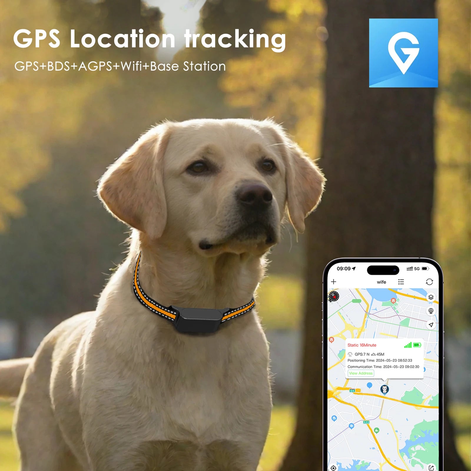 Collar GPS 4G Inteligente para Mascotas IP67 sin Suscripción