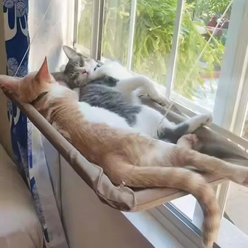 Hamaca Colgante para Gatos con Ventosa — Cama de Ventana