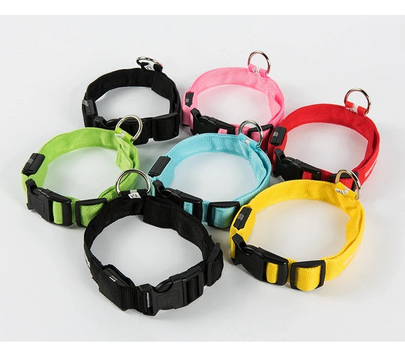 Correa LED para Perros con Luz Nocturna — Nailon Resistente