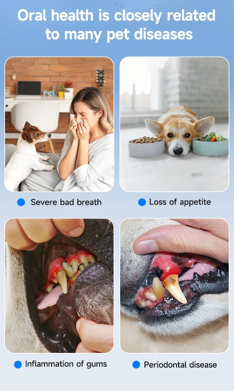 Kit de Limpieza Dental Ultrasónico para Perros
