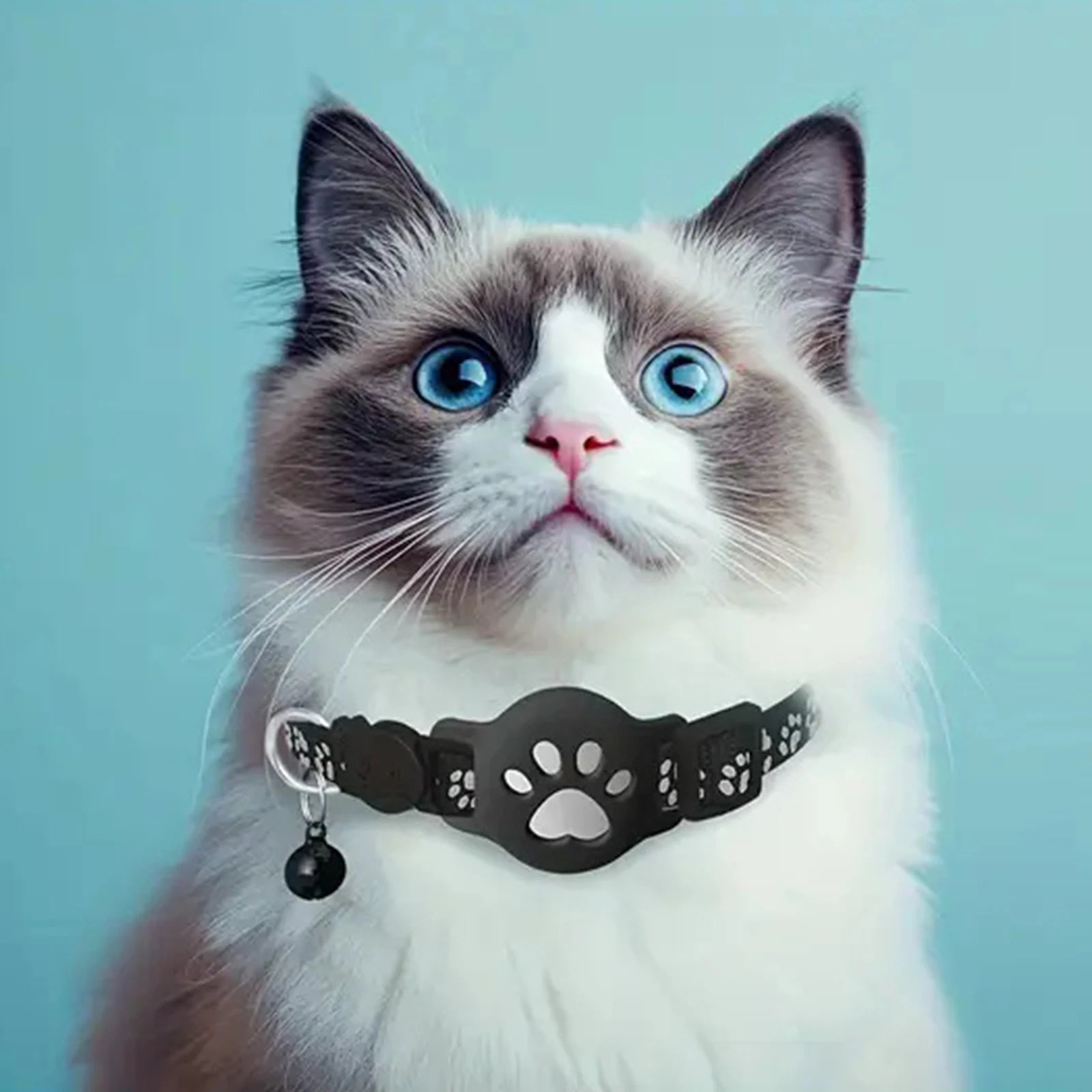 Collar Rastreador GPS para Mascotas Impermeable con App iOS y Android