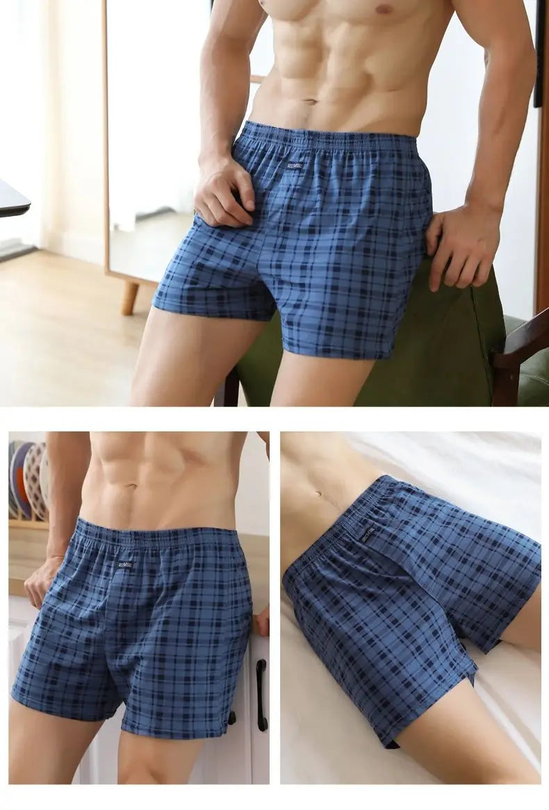 Pantalones Aro para hombre, ropa interior de celosía de algodón, pantalones cortos holgados de cintura alta para verano, finos y transpirables, calzoncillos con bolsa, M-3XL de talla grande