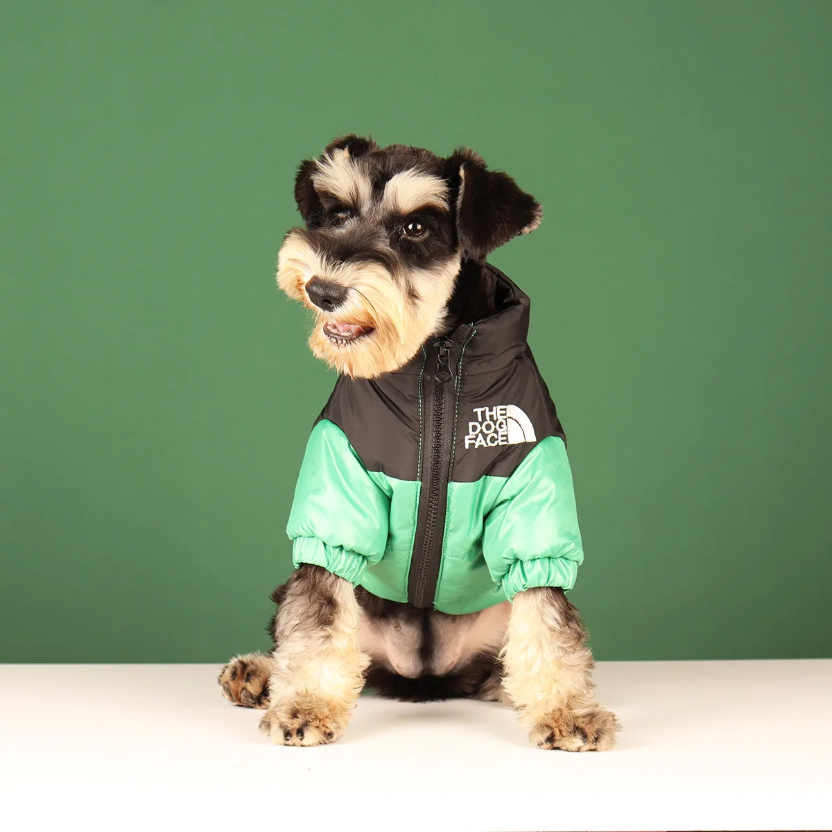 Campera de Abrigo para Perros - Cálida y Reflectante, Tallas XS a 3XL