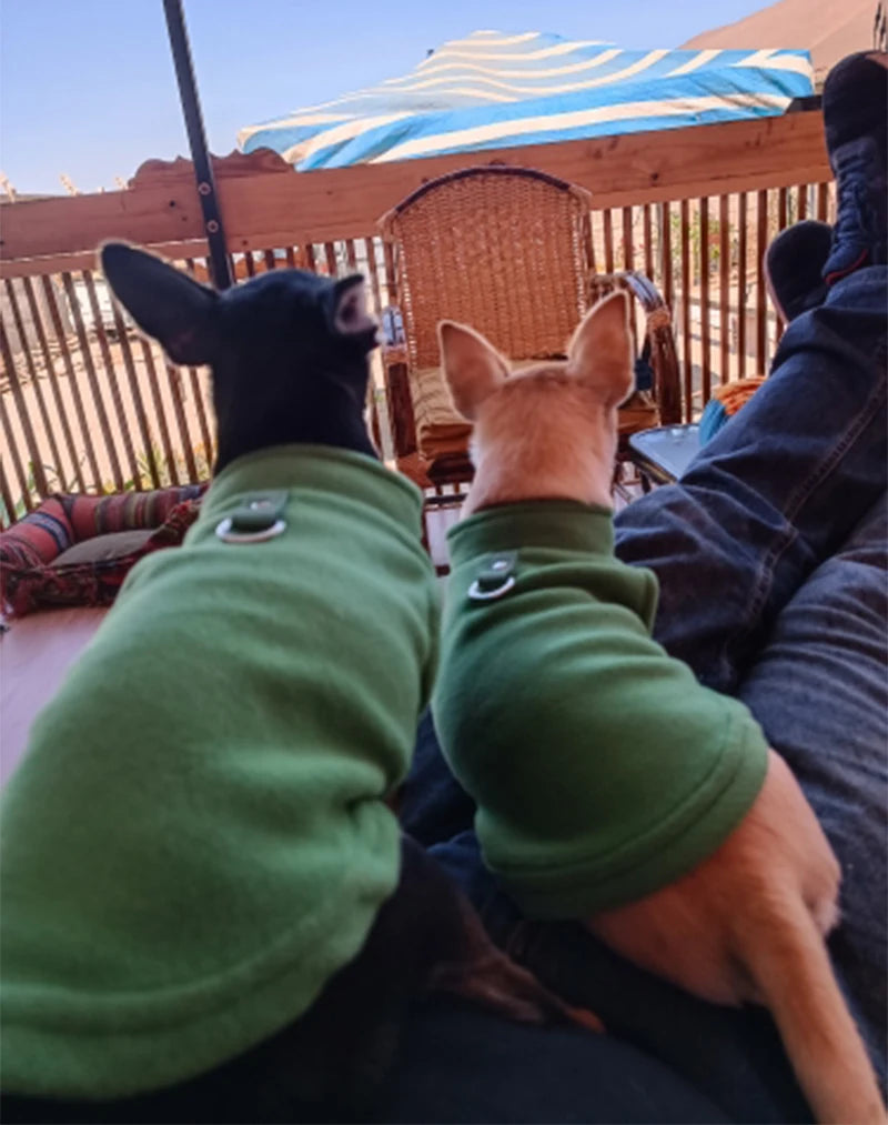 Chaleco de Lana para Perros y Gatos - Abrigo Cálido con Anillo en D