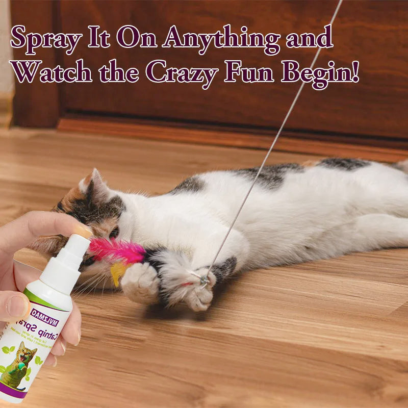 Spray de hierba gatera para gatos, spray para rascar gatos para aumentar el juego, calma el estrés y rinovar juguetes, spray de comportamiento transparente para gatos y gatitos, 60 ml