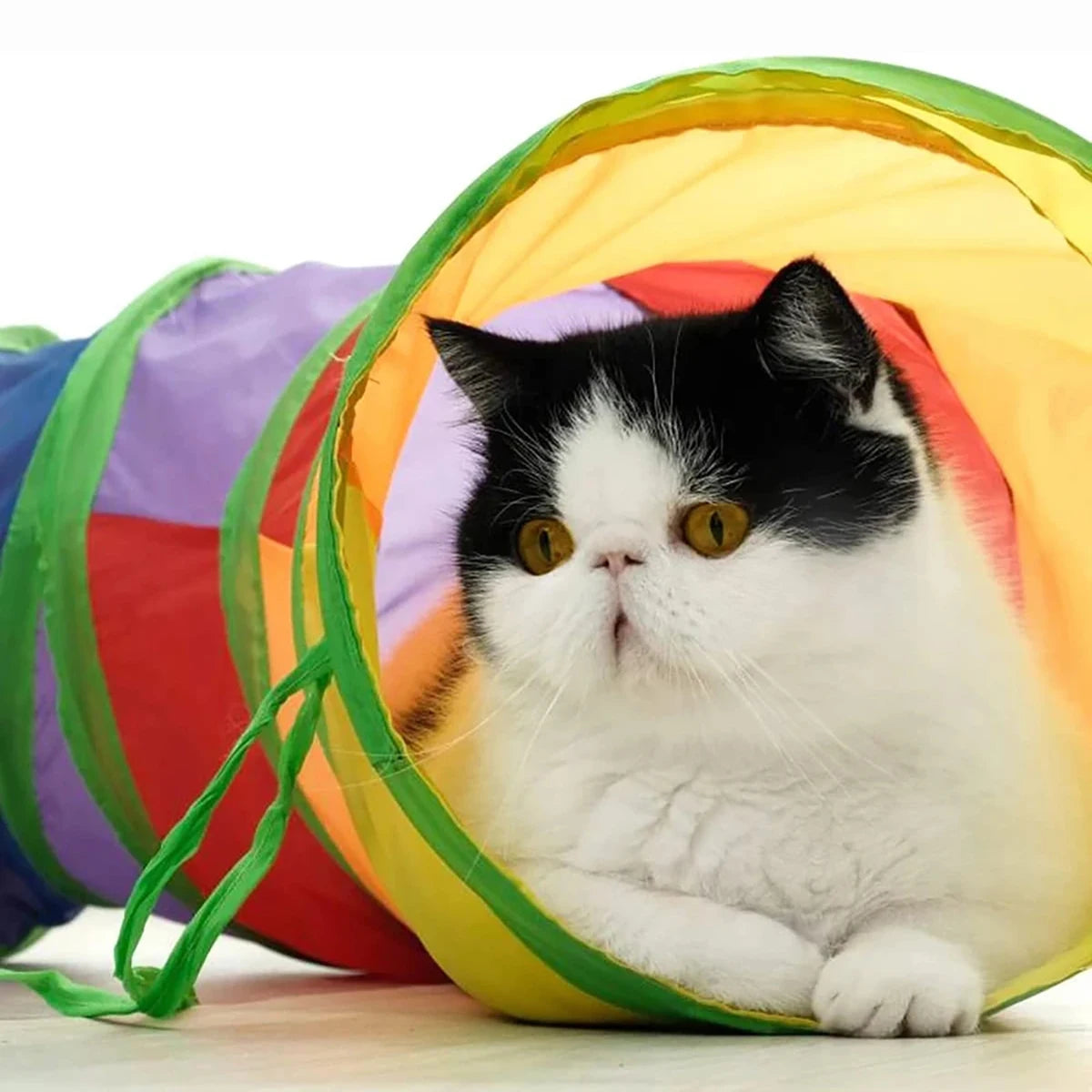 Tubo de túnel para gatos, juguetes plegables para gatos, entrenamiento para gatitos, juguete interactivo divertido, túnel ennegrecido para cachorros, gatitos, suministros para mascotas, accesorios para gatos