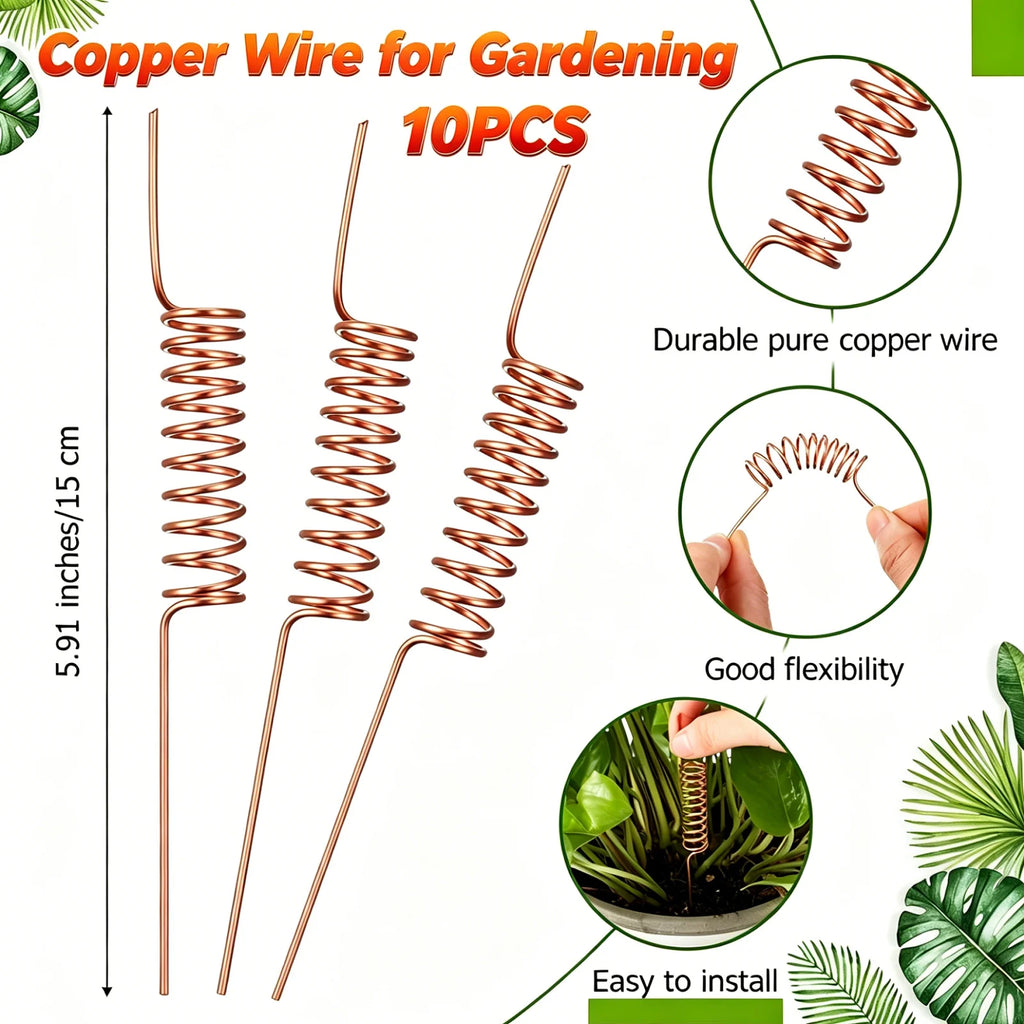 Anillos de Cobre Electrochapado para Soporte de Plantas