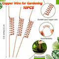 Anillos de Cobre Electrochapado para Soporte de Plantas