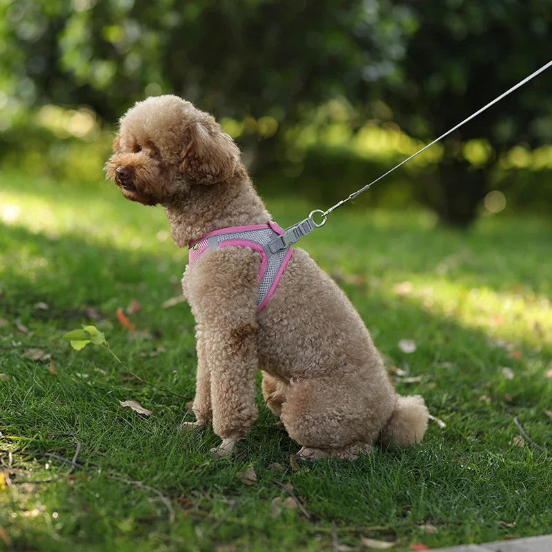 Arnés Chaleco Ajustable para Perros y Gatos con Correa Reflectante