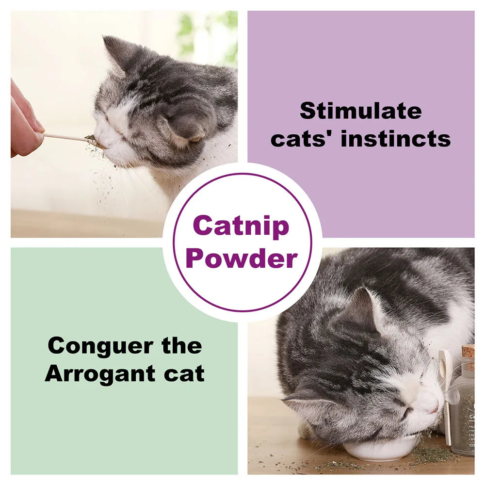 Mezcla Premium Safe de Catnip Orgánico perfecta para gatos, instalada con la potencia máxima, su gatito está garantizado para ir loco 100ML