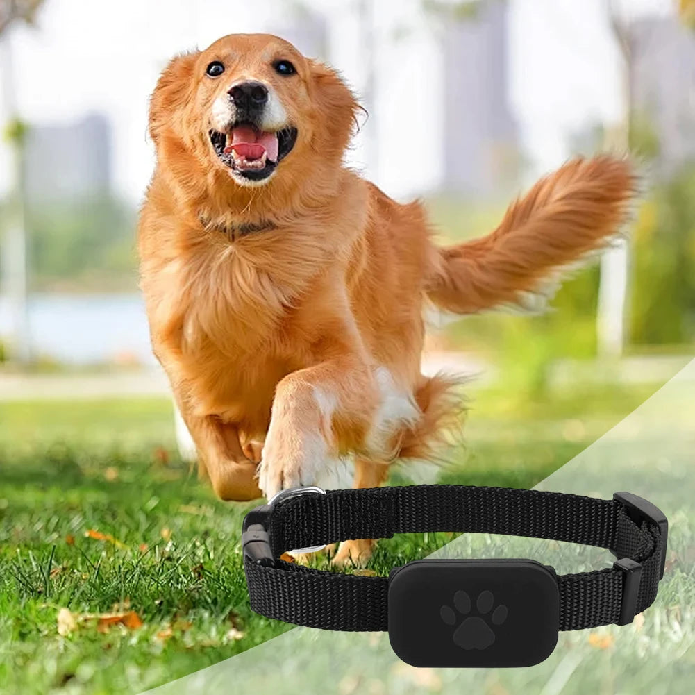 Rastreador GPS Bluetooth para mascotas, collar ajustable, localizador para perros y gatos, resistente al agua, antipérdida, dispositivo de seguimiento en tiempo real para iOS/Android